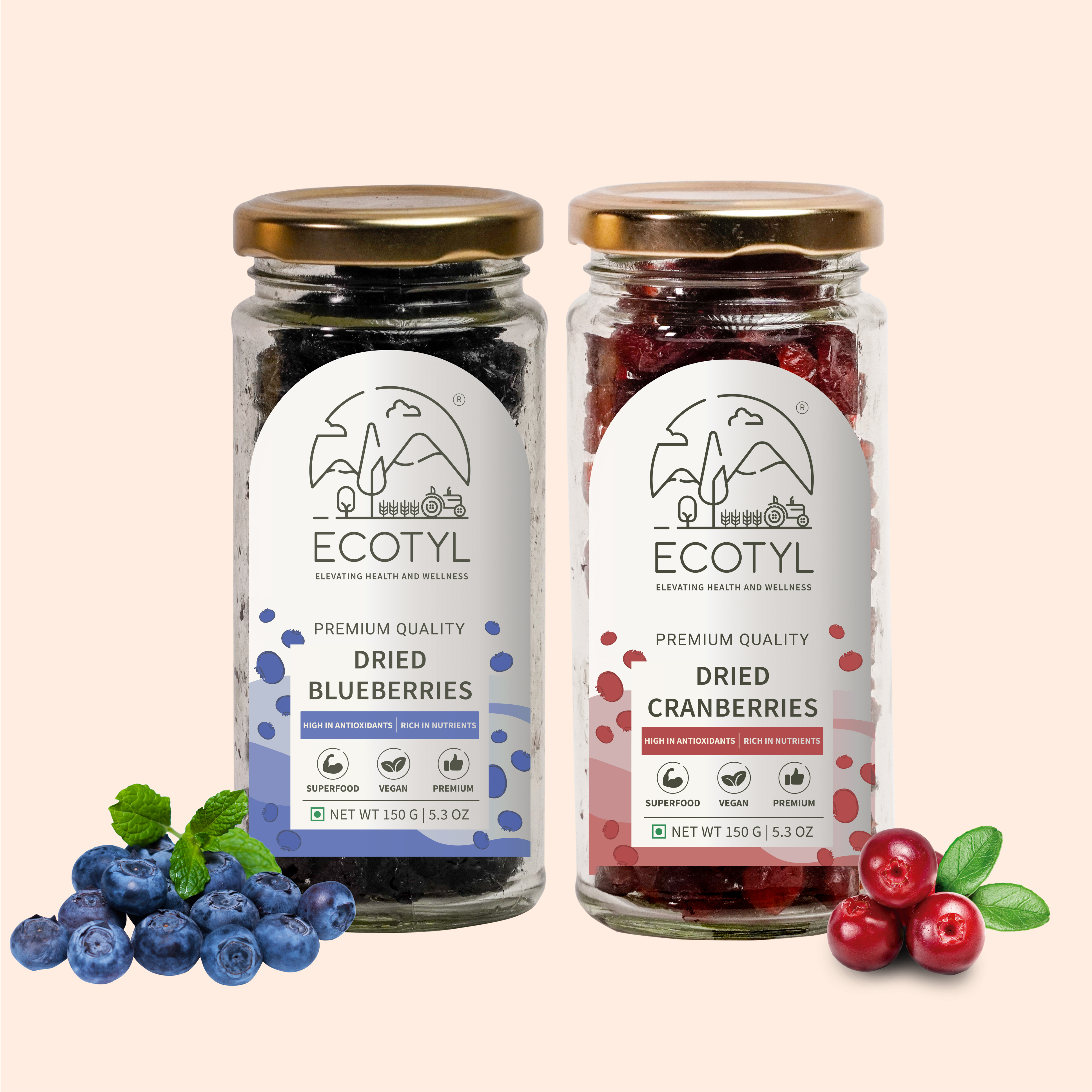 Dried Blueberres & Dried Cranberries Combo | Healthy Snacks | Dried Fruits | 150g Each